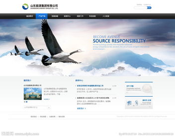 公司網(wǎng)站圖片與計(jì)算機(jī)網(wǎng)絡(luò)工程 構(gòu)建高效視覺與數(shù)據(jù)交互平臺